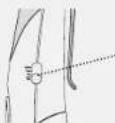ANGELCARE AC605 - IMPORTANT - 1
