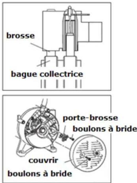 Eurom MM5500 - Nettoyer les brosses de carbone - 2