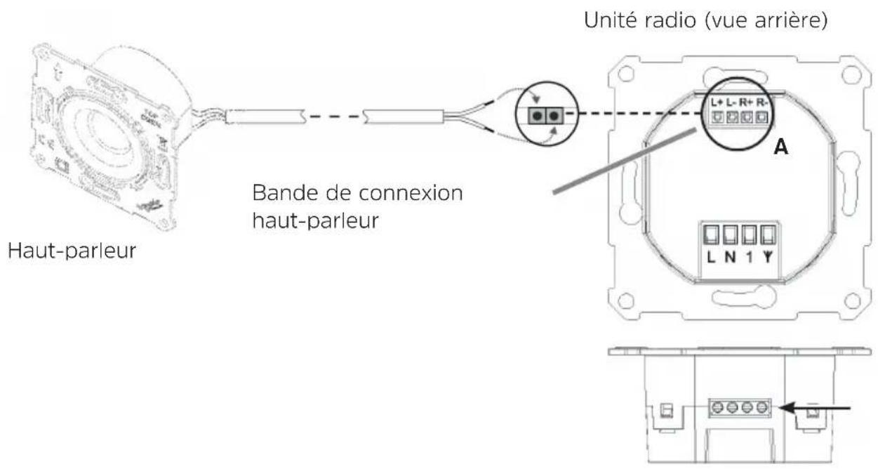 TECHNISAT DigitRadio UP 55 - Vue d'ensemble du branchement du haut-parleur - 1