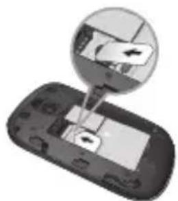 LG LGT505 - Illustrations - 3