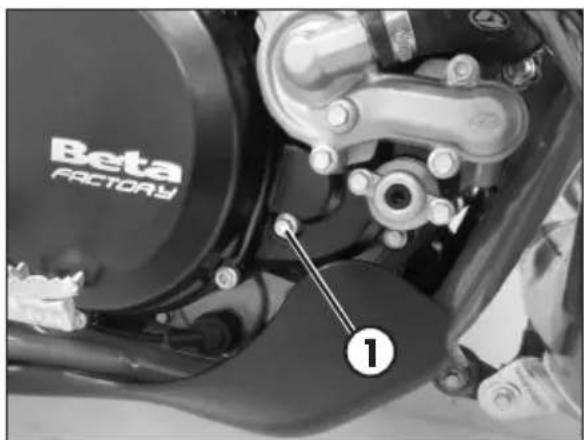 Beta RR 2T 250 (2016) - F - 1