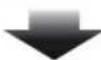 Beta Evo 2T 300 (2019) - Instructions de fonctionnement - 2