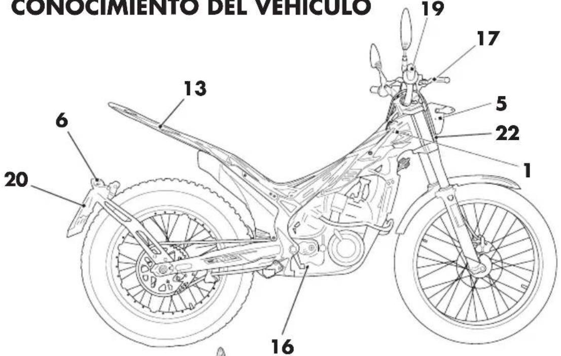 Beta Evo 2T 300 (2019) - ATENCIÓN: - 1