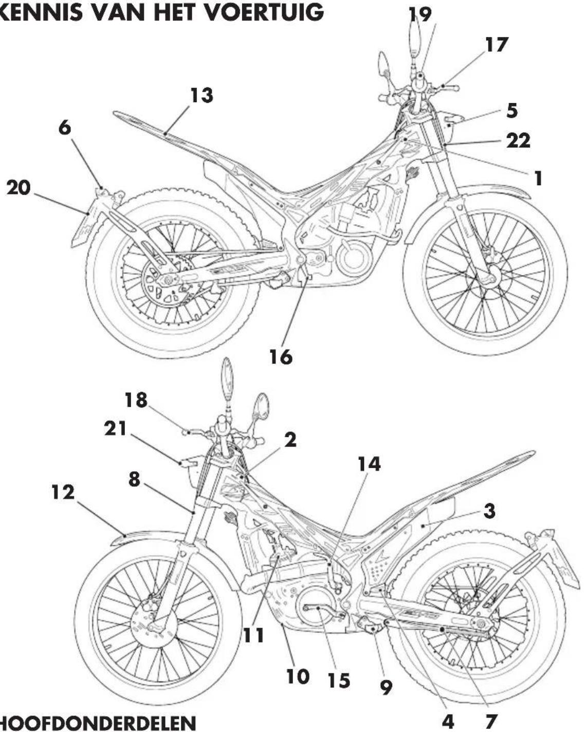 Beta Evo 2T 300 (2019) - MOTORIDENTIFICATIE - 1