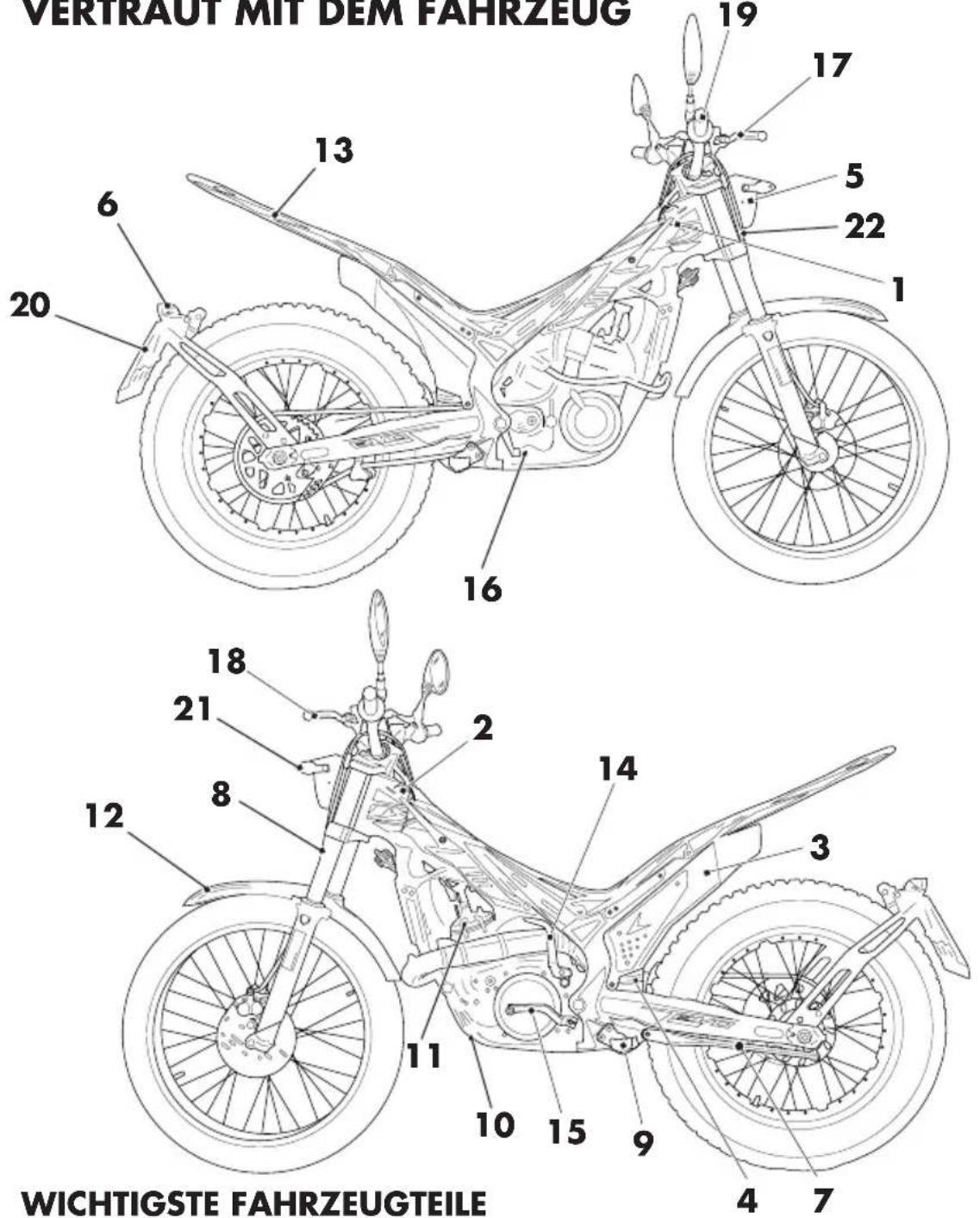 Beta Evo 2T 300 (2019) - ACHTUNG: - 1