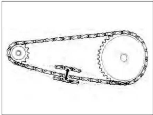 Beta Evo 2T 300 (2019) - CHAIN - 1