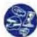 Beta Evo 2T 300 (2019) - SYMBOLS - 5