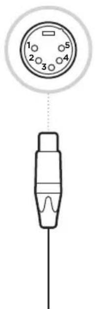 BOSE SoundComm B40 - 4-nastainen XLRF 5-nastainen XLRF - 2