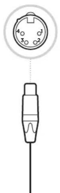 BOSE SoundComm B40 - XLRF à 4 broches XLRM à 5 broches - 1