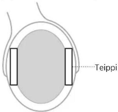 BOSE SoundComm B40 - Pehmuste - 3