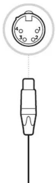 BOSE SoundComm B40 - VARIANTES DE LOS AURICULARES - 1