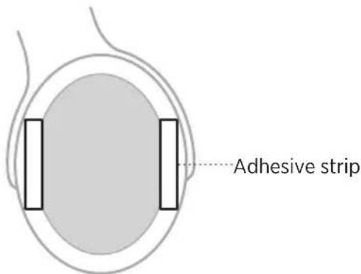BOSE SoundComm B40 - Ear cushion - 3