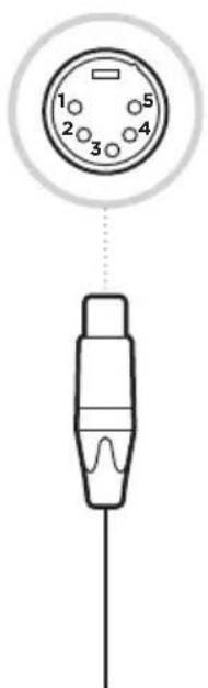 BOSE SoundComm B40 - 4-polig XLRF 5-polig XLRM - 1