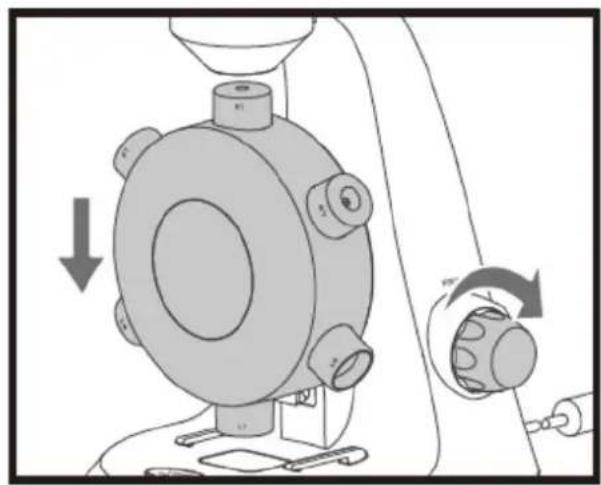 Reflecta DigiMicroscope Vario - Enfoque - 2