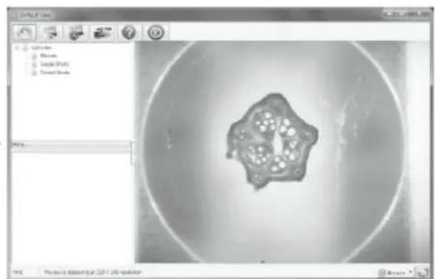 Reflecta DigiMicroscope Vario - Scherpstellen - 5