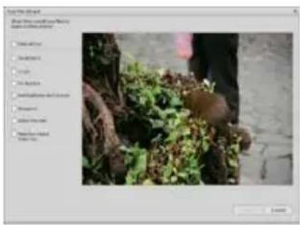 Reflecta DigiMicroscope LCD - - Photo and video editing - 1