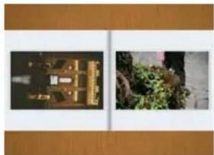 Reflecta DigiMicroscope LCD - - Editing di Foto e video - 2
