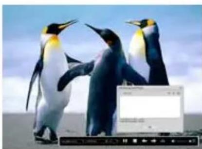 Reflecta DigiMicroscope LCD - - Editing di Foto e video - 1