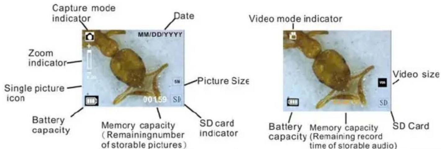 Reflecta DigiMicroscope LCD - Display - 1