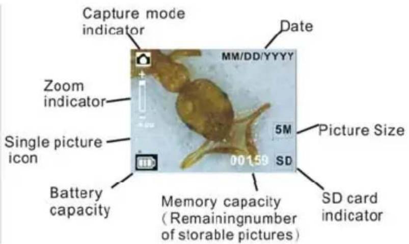 Reflecta DigiMicroscope LCD - Display Information - 1