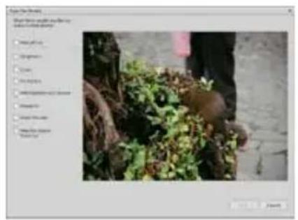 Reflecta DigiMicroscope LCD - - Editing di Foto e video - 3