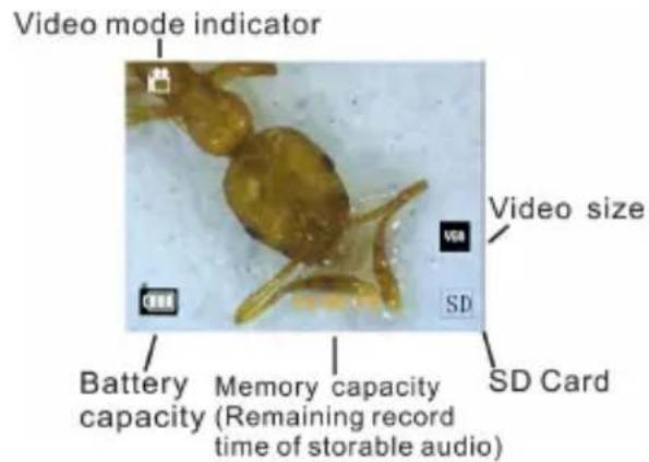 Reflecta DigiMicroscope LCD - Display Information - 2