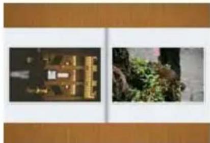 Reflecta DigiMicroscope LCD - - Montage photo et video - 2