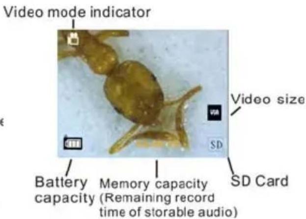 Reflecta DigiMicroscope LCD - Informazioni visualizzate - 2