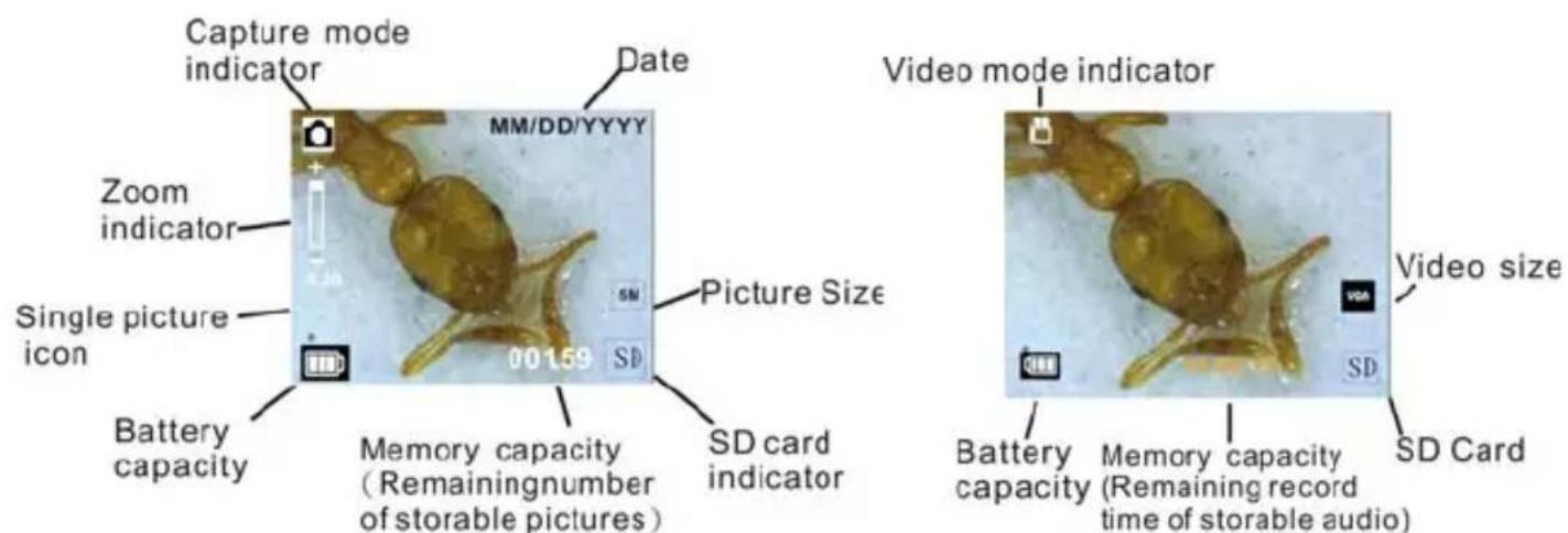 Reflecta DigiMicroscope LCD - Display informatie - 1
