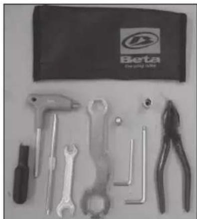 Beta RR 2T 250 (2015) - IDENTIFICACION moToR - 1