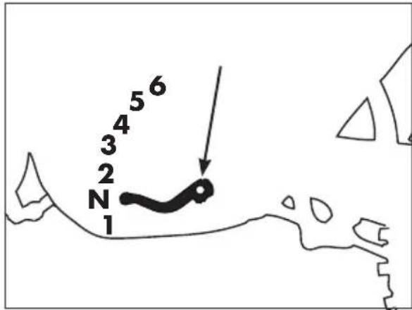 Beta RR 2T 125 (2019) - GEAR CHANGE LEVER - 1