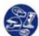 Beta RR 2T 125 (2019) - SYMBOLEN - 5