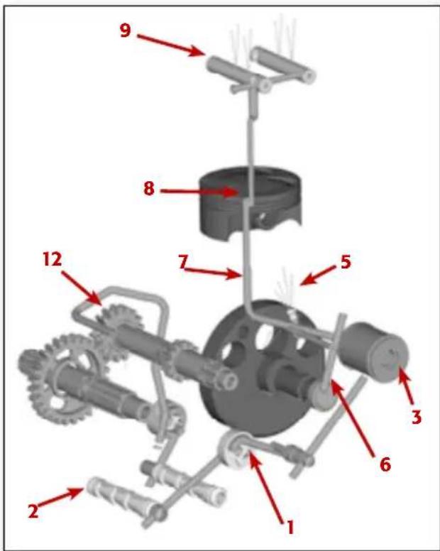 Beta Evo 4T 250 (2010) - CIRCUIT DE LUBRIFICATION - 1