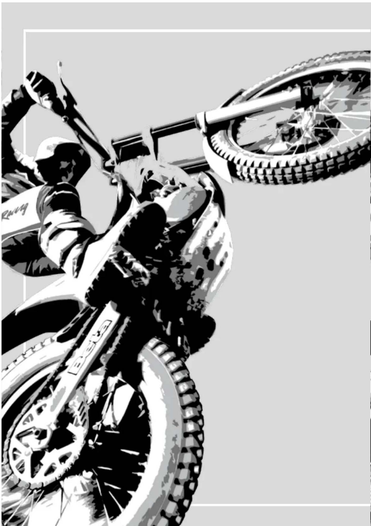 Beta Evo 4T 250 (2010) - INDEX - 1