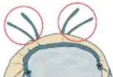 JANE Igloo - DYNAMIC DESIGN - 1