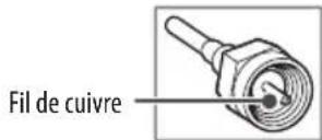 LG 43UN7300AUD - Antenne/câble - 1