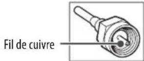 LG 65UN7300AUD - Antenne/cable - 1