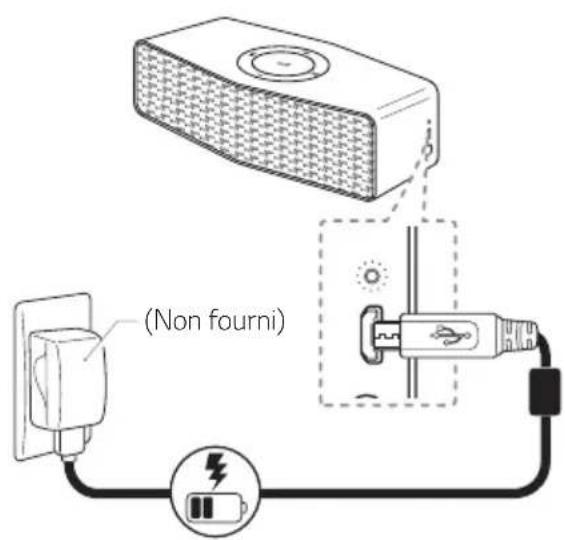 LG NP5550WG - Raccordement de l'adaptateur secteur - 1