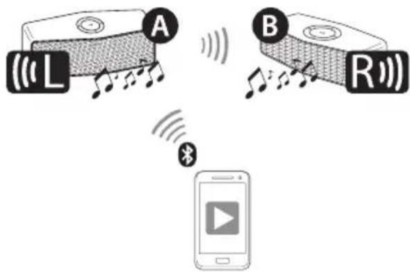 LG NP5550WG - Connexion pour double lecture (facultative) - 1