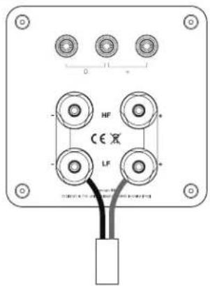 Q-ACOUSTICS Concept 300 - Connexions bi-câblées - 1
