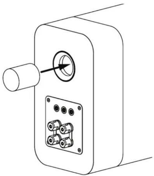 Q-ACOUSTICS Concept 300 - Tampa de espuma - 1