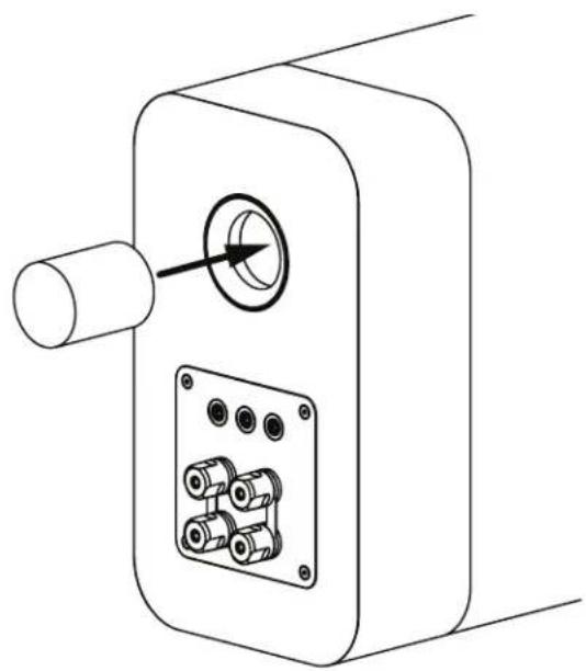 Q-ACOUSTICS Concept 300 - Foam Bung - 1
