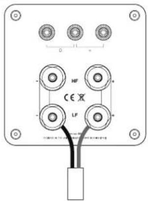 Q-ACOUSTICS Concept 300 - Bi-Wire Connections - 1