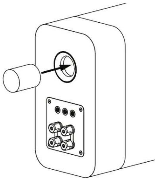 Q-ACOUSTICS Concept 300 - Tapón de espuma - 1