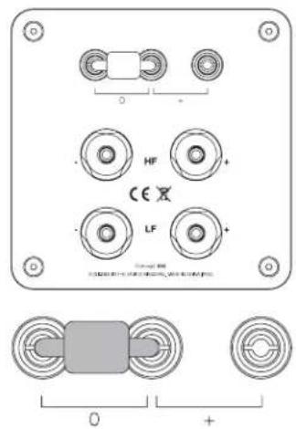 Q-ACOUSTICS Concept 300 - Bi-Wire-Anschlüsse - 3