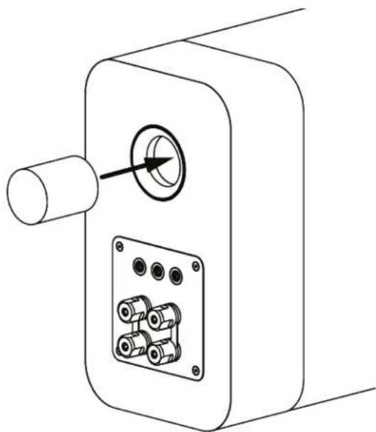 Q-ACOUSTICS Concept 300 - Schaumstoffstöpsel - 1