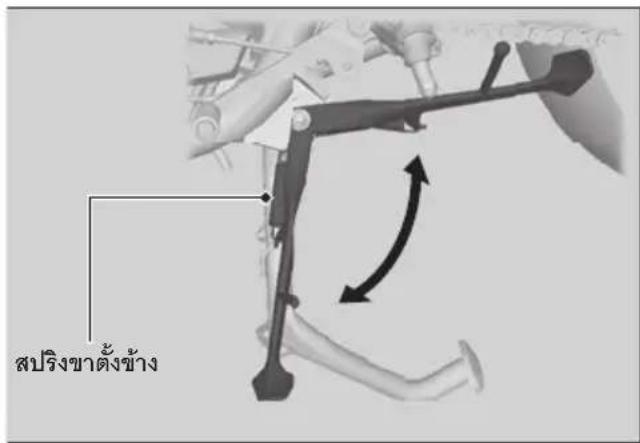 สปริงขาดั้งข้าง