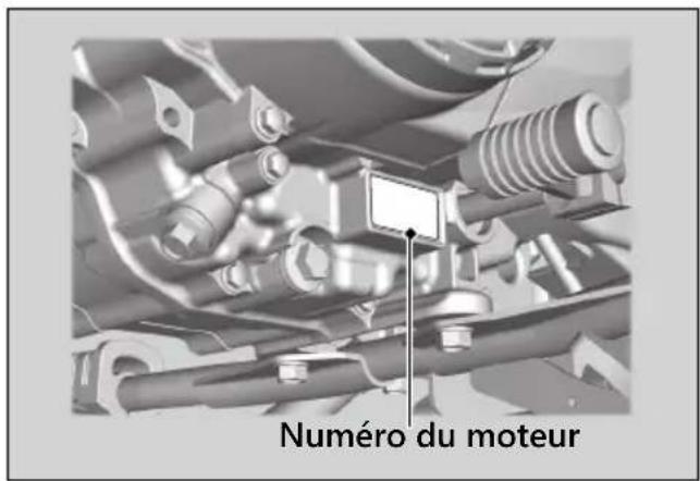 Numéro du moteur