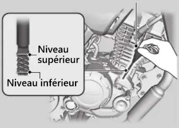 Niveau supérieur Niveau inférieur