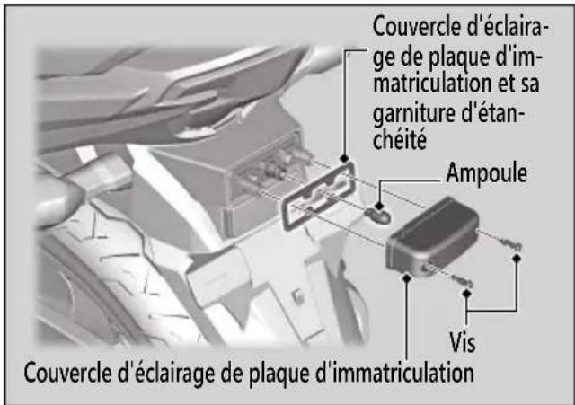 Couvercle d'éclairage de plaque d'immatriculation et sa garniture d'étanchéité Ampoule Vis Couvercle d'éclairage de plaque d'immatriculation